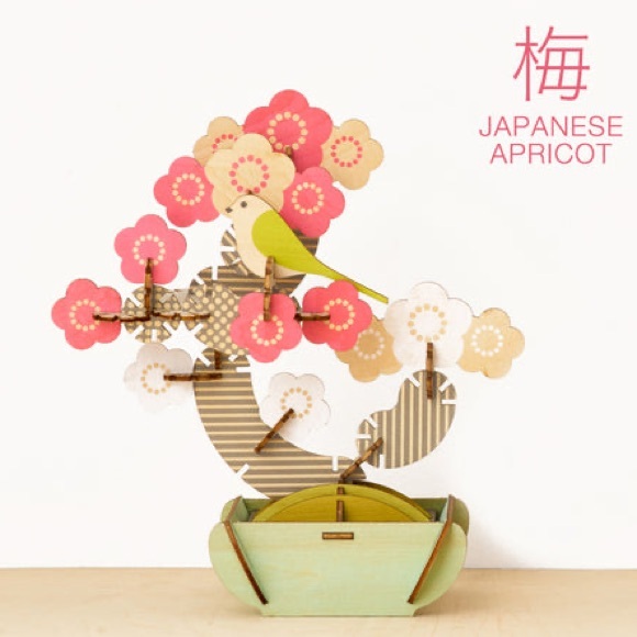 Play Plants Plywood Bonsai Puzzle 🧩 -Japanese Apricot-
New in Box - Picture 6 of 8